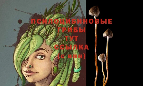 амф Абинск